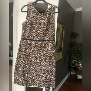 Loft animal print dress - size 12